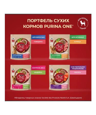 PURINA ONE Feed for adult dogs of small breeds beef and rice 7 kg - Buy Online on GoSupps.com