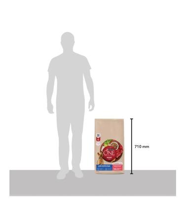 PURINA ONE Feed for adult dogs of small breeds beef and rice 7 kg - Buy Online on GoSupps.com