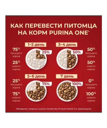 PURINA ONE Feed for active dogs of small breeds chicken and rice 7 kg - Buy Online on GoSupps.com