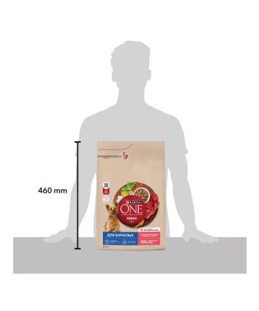 PURINA ONE Feed for adult dogs of small breeds beef and rice 3 kg - Buy Online on GoSupps.com