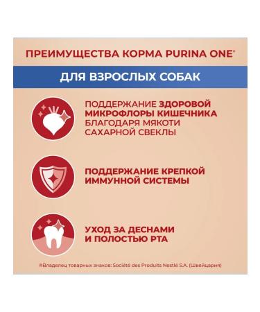 PURINA ONE Feed for adult dogs of small breeds beef and rice 3 kg - Buy Online on GoSupps.com