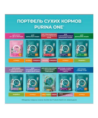 PURINA ONE Feed for adult domestic cats of all breeds turkey 9.75 kg - Buy Online on GoSupps.com