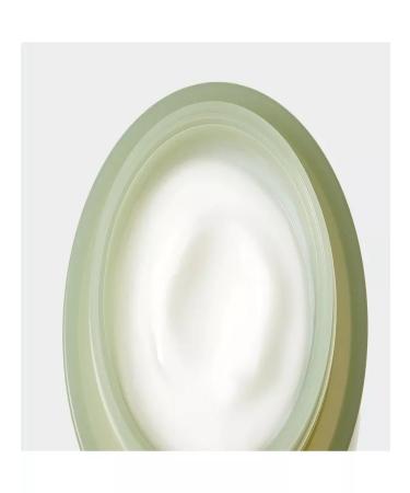 NEEDLY CICACHID RELIEF CEAM COLLECTION - Buy Online on GoSupps.com