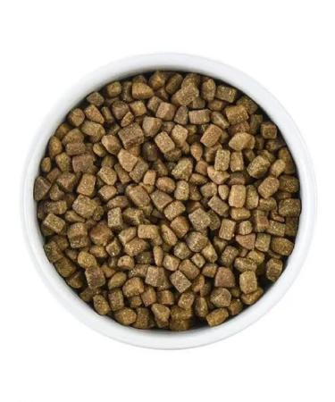 Organix Dry Hypoallergenic food for cats turkey 2 kg 2 pcs - Buy Online on GoSupps.com