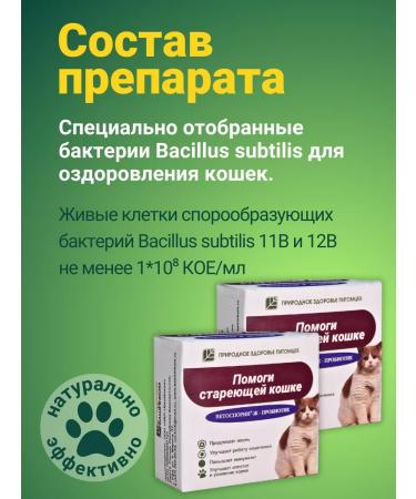 with a small shoe Help the aging cat 30 ml. Probiotics - Buy Online on GoSupps.com