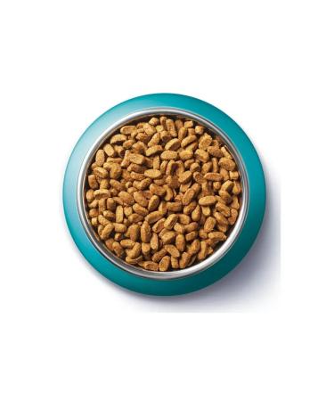 PURINA ONE Feed for sterilized cats salmon 750 g - Buy Online on GoSupps.com