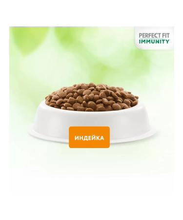 PERFECT FIT Dry Immunity food for cats of a turf is 0.58 kg 2 pcs - Buy Online on GoSupps.com