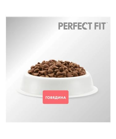 PERFECT FIT Feed for elderly sterilized cats of beef 0.65 kg 2 pcs - Buy Online on GoSupps.com