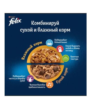 FELIX Feed dry meat eating for cats chicken 10 kg - Buy Online on GoSupps.com