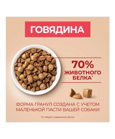 PURINA ONE Dog food for dry mini for small beef breeds 3 kg - Buy Online on GoSupps.com