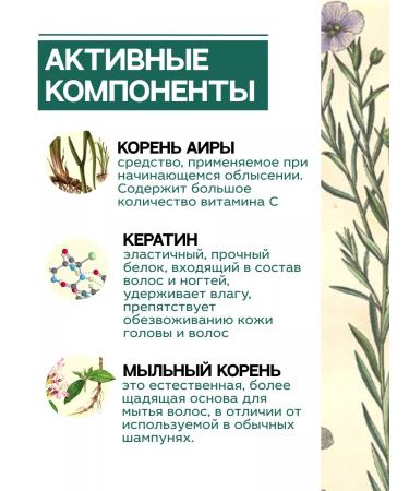 Grandma Agafia's Recipes Hair shampoo from falling out dermatological 2 pcs - Buy Online on GoSupps.com