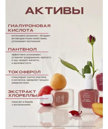 House of HUR Liquid blush Moist ampoule Blusher 03 Rose Brown - Buy Online on GoSupps.com