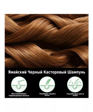 Aliver Black castor oil -based hair shampoo - Buy Online on GoSupps.com