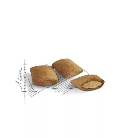 ROYAL CANIN Senior Ageing 12+ for cats 2 kg - Buy Online on GoSupps.com