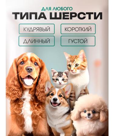 VGR Animal cutting machine trimmer - Buy Online on GoSupps.com