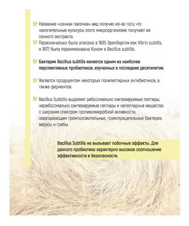 Grove probiotic Restoring shampoo with a hay stick - Buy Online on GoSupps.com