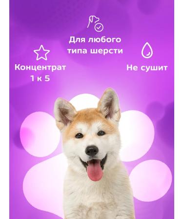 Show Tech Shampoo for dogs and cats with chamomile 5 liters - Buy Online on GoSupps.com