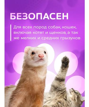 Show Tech Shampoo for dogs and cats with chamomile 5 liters - Buy Online on GoSupps.com