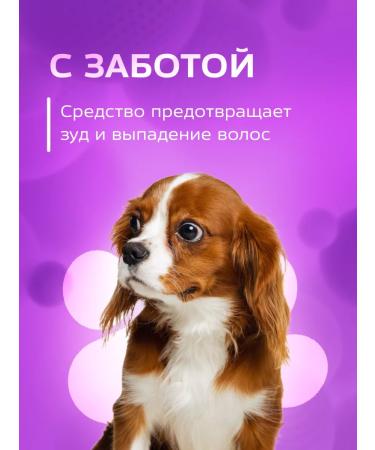 Show Tech Shampoo for dogs and cats with chamomile 5 liters - Buy Online on GoSupps.com