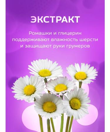 Show Tech Shampoo for dogs and cats with chamomile 5 liters - Buy Online on GoSupps.com