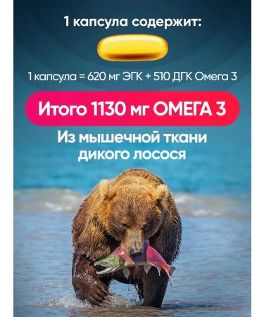 Healthle Omega-3 1000 mg 90% Omega-3 from wild Kamchatka salmon - Buy Online on GoSupps.com
