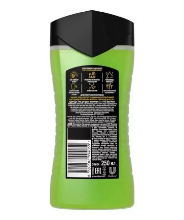 Axe Shower gel 3B1 "Epic freshness" 250 ml - Buy Online on GoSupps.com