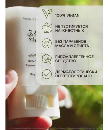 Beauty of Joseon Sunwall Style Matte Sun Stick Mugwort+Camelia 18g - Buy Online on GoSupps.com