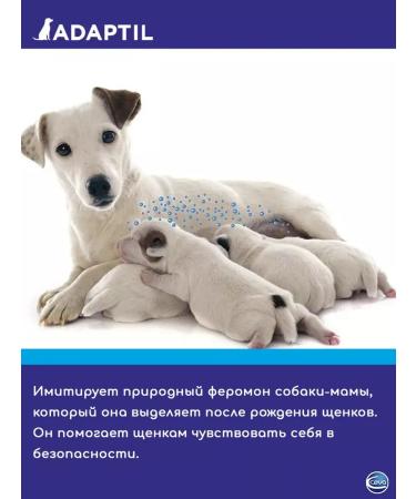 Ceva Pheromones for dogs adapted a replaced block of 48 ml - Buy Online on GoSupps.com