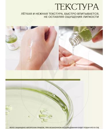 Beauty of Joseon Calming Serum Green Tea+Panthenol serum - Buy Online on GoSupps.com