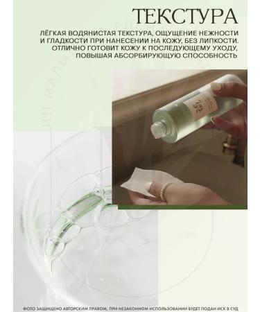 Beauty of Joseon Green Plum Refreshing Toner Aha+Bha refreshing tonic - Buy Online on GoSupps.com