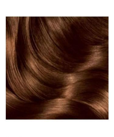 Garnier Color Sensation hair dye 5.35 spicy chocolate - 3 pcs - Buy Online on GoSupps.com