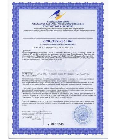 Nature's Sunshine Chlorophyll Liquid NSP Liqiud Chlorophyll NSP volume 475 ml - Buy Online on GoSupps.com