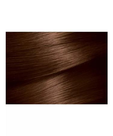 Garnier Color Naturals hair dye 4.3 Golden chestnut - 2 pcs - Buy Online on GoSupps.com