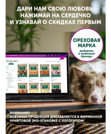 Nut brand Pistachios fried salted nuts in the shell - Buy Online on GoSupps.com