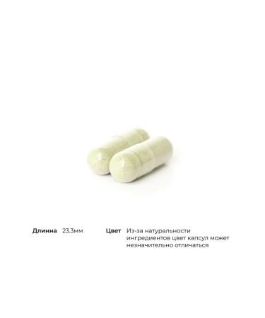 Thorne Research Coenzyme Q10 Heart Health Complex Q10 Plus 90 capsules - Buy Online on GoSupps.com