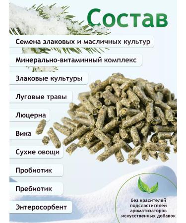 Zoomir Madame Shinchi feed for chinchilla 800 g - Buy Online on GoSupps.com