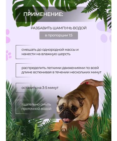 AMIGO Moisturizing shampoo for dogs and cats 300 ml - Buy Online on GoSupps.com