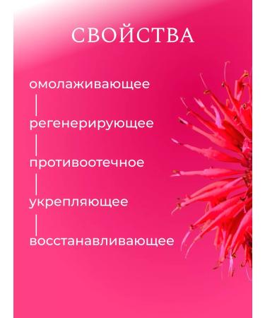ZenWay In the cream from wrinkles for the face an anti -aging additive - Buy Online on GoSupps.com