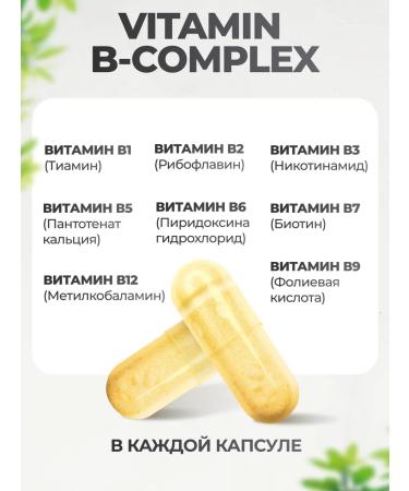 VitaMeal B vitamins in the complex - Buy Online on GoSupps.com