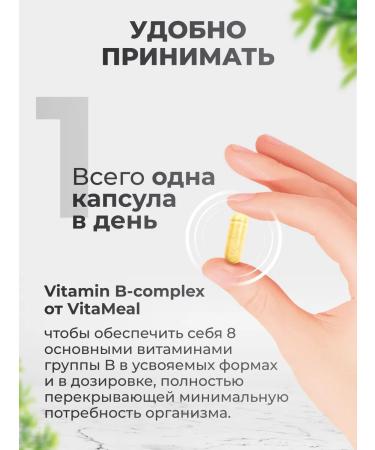 VitaMeal B vitamins in the complex - Buy Online on GoSupps.com