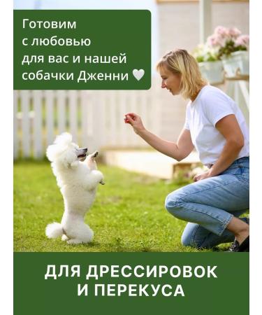 petfam Dog treats Light beef S 1.5 cm 500 g - Buy Online on GoSupps.com