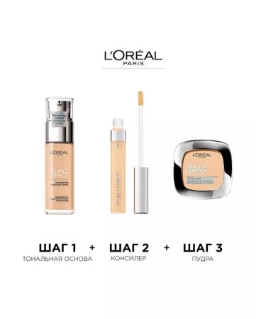 L'OREAL Compact Facial Powders Alliance Perfect Tone D5 - Buy Online on GoSupps.com
