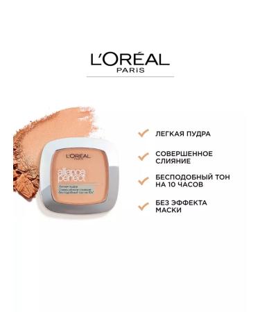L'OREAL Compact Facial Powder Alliance Perfect tone R2 - Buy Online on GoSupps.com