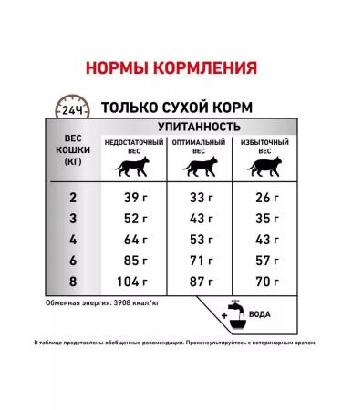 ROYAL CANIN GastroinTestinal Fiber Response for cats 2 kg - Buy Online on GoSupps.com