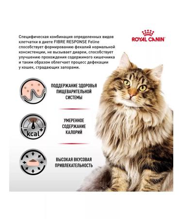 ROYAL CANIN GastroinTestinal Fiber Response for cats 2 kg - Buy Online on GoSupps.com
