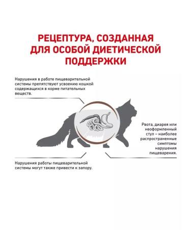 ROYAL CANIN GastroinTestinal Fiber Response for cats 2 kg - Buy Online on GoSupps.com
