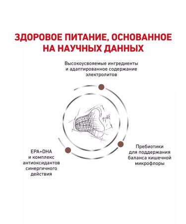 ROYAL CANIN GastroinTestinal Fiber Response for cats 2 kg - Buy Online on GoSupps.com