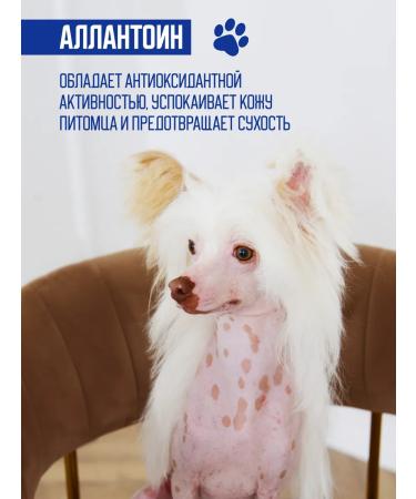 Doctor VIC Shampoo for sphinxes bald unsteady dogs and cats 250ml - Buy Online on GoSupps.com