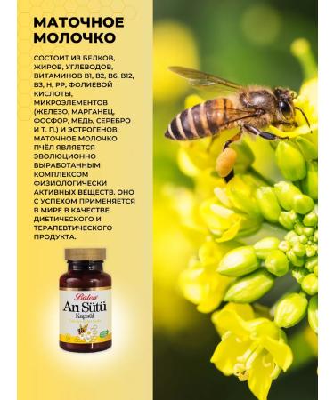 Balen Royal jelly bee in capsules of dietary supplement for women T rkiye - Buy Online on GoSupps.com