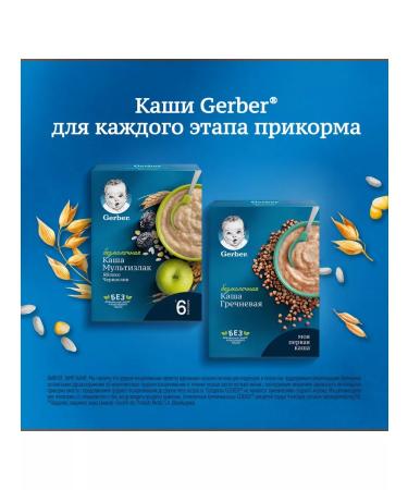 Gerber Porridge children's silent apple-blackslide 180g 2 pcs - Buy Online on GoSupps.com